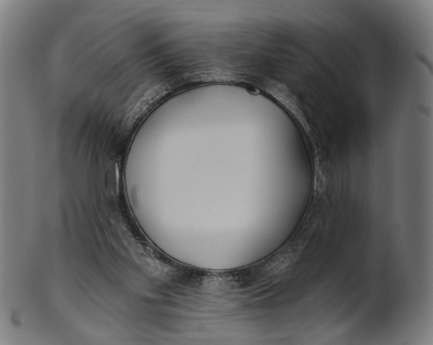 X0000100870109200807111327