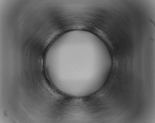 X0000100870110200807111327