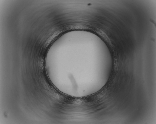 X0000100870111200807111327