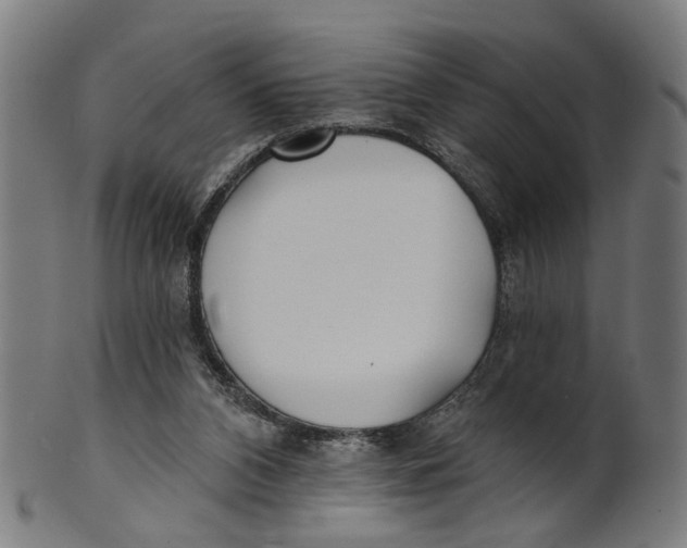 X0000100870112200807111327