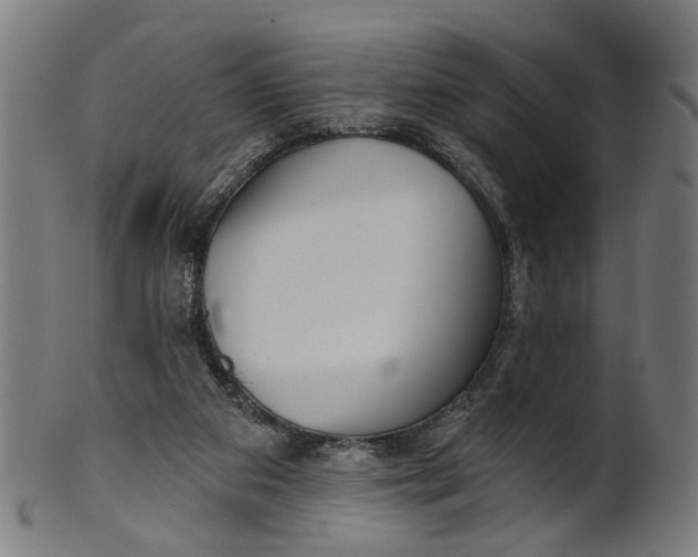X0000100870113200807111327