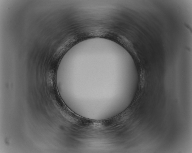 X0000100870114200807111327