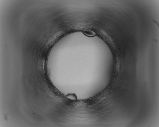X0000100870115200807111327