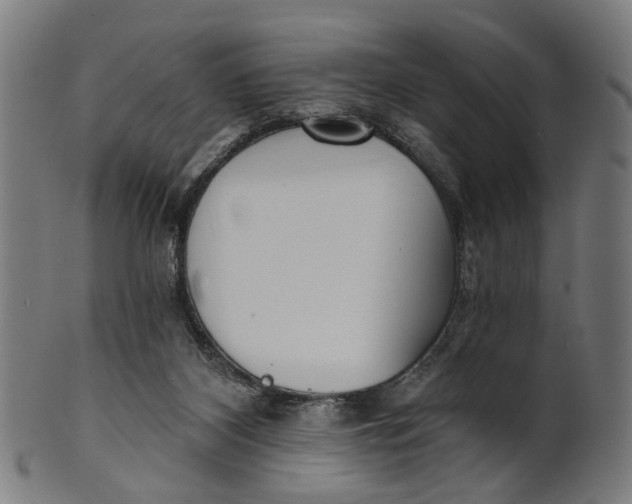 X0000100870116200807111327