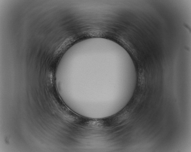X0000100870117200807111327