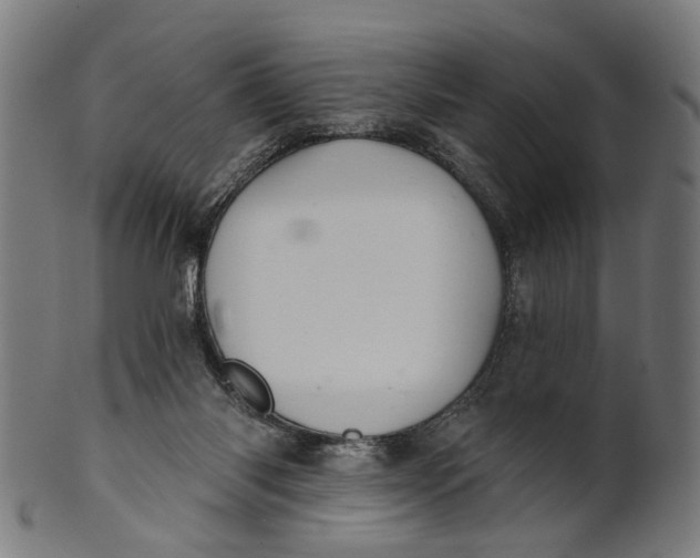 X0000100870118200807111327