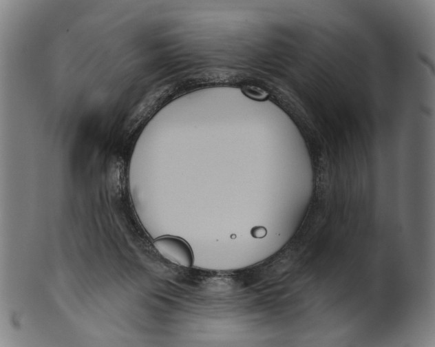 X0000100870119200807111327