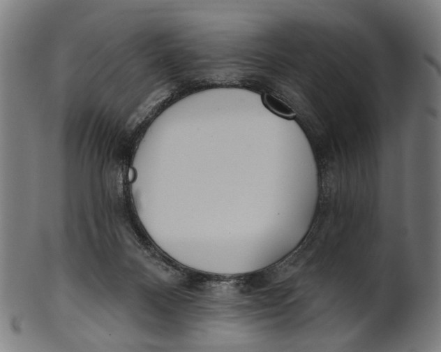 X0000100870120200807111327