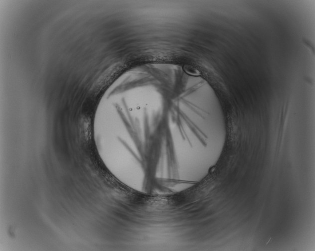 X0000100870123200807111327