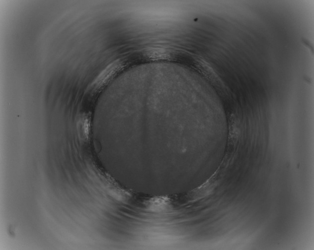 X0000100870124200807111327