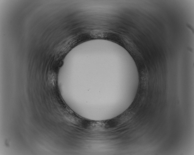 X0000100870125200807111327