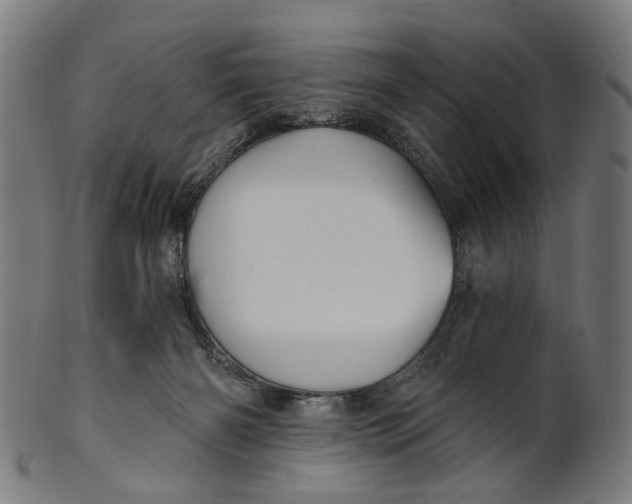 X0000100870126200807111327