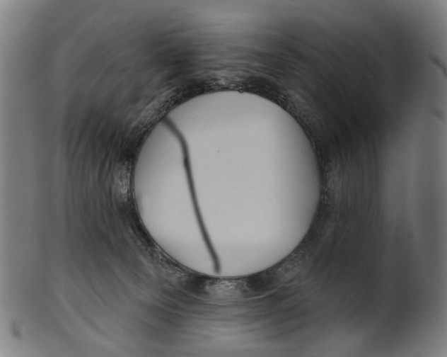 X0000100870129200807111327