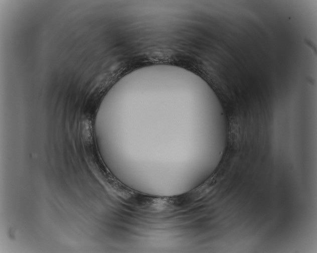 X0000100870130200807111327