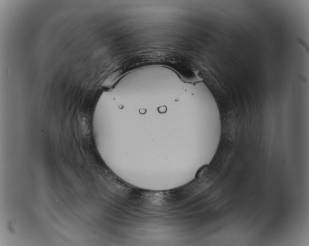 X0000100870131200807111327
