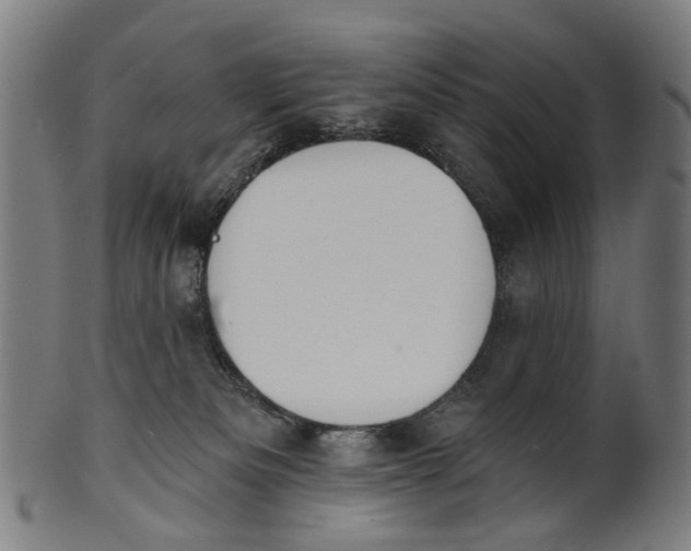 X0000100870133200807111327