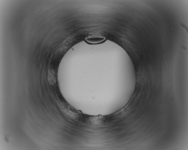 X0000100870136200807111327