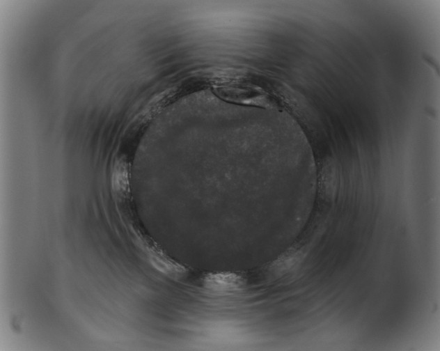 X0000100870137200807111327