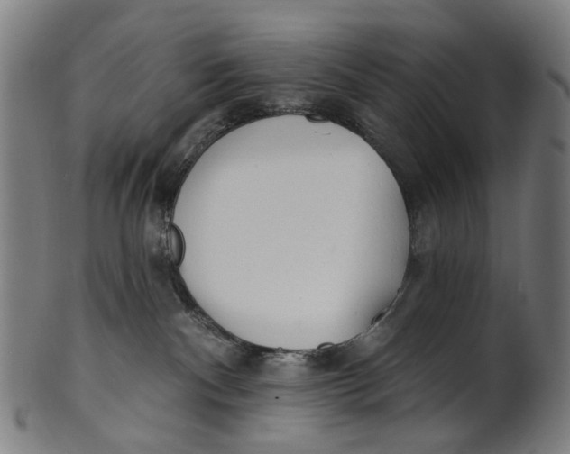 X0000100870140200807111327