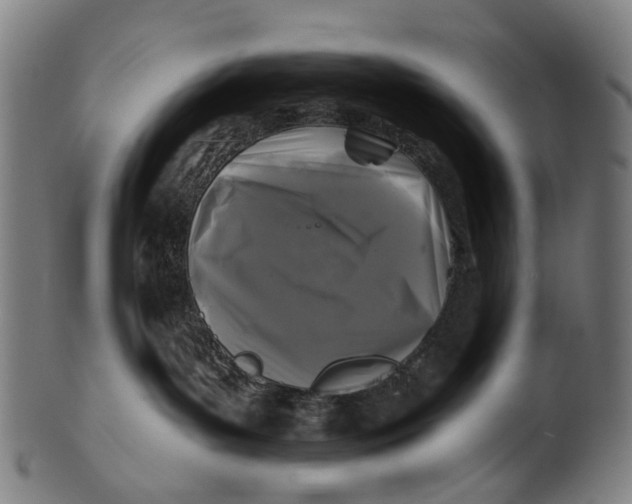 X0000100870143200807111327