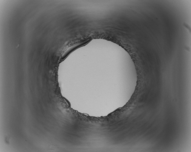 X0000100870144200807111327