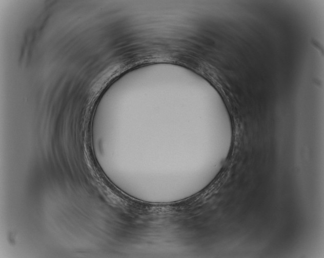 X0000100870145200807111326