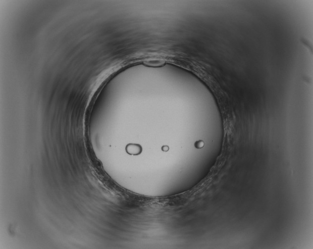 X0000100870148200807111326