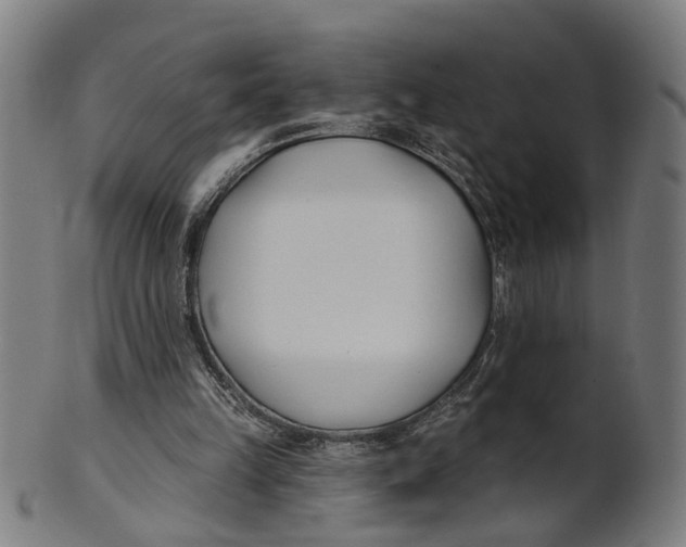 X0000100870149200807111326