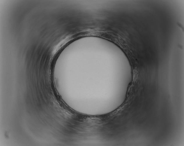 X0000100870150200807111326