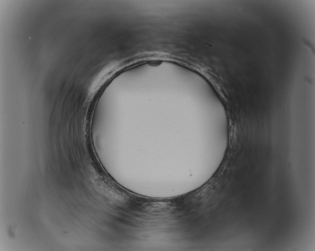 X0000100870151200807111326