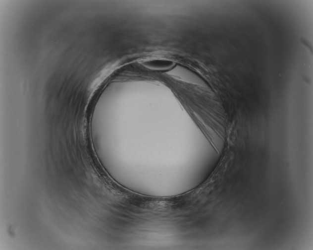 X0000100870152200807111326