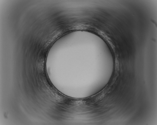 X0000100870153200807111326