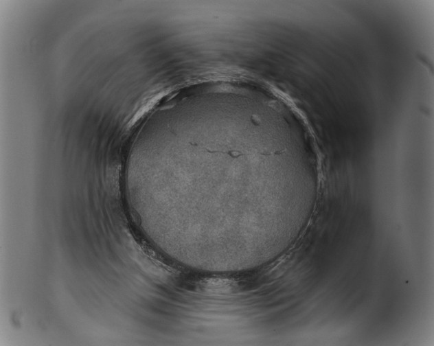 X0000100870154200807111326