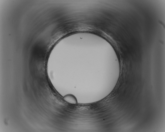 X0000100870155200807111326