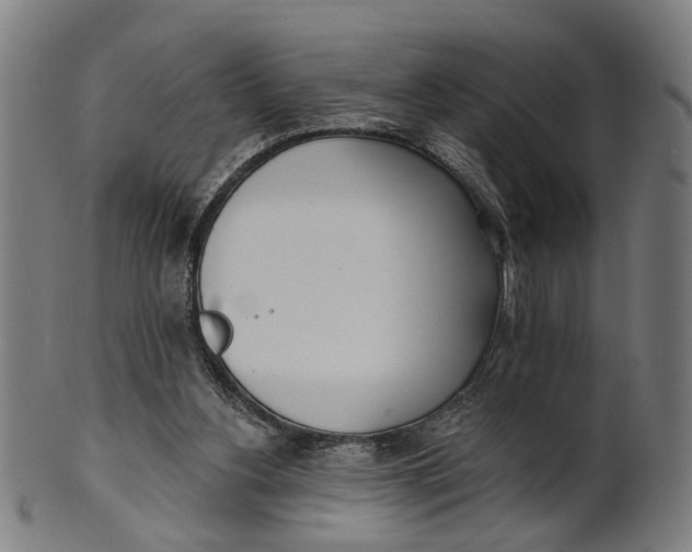 X0000100870156200807111326
