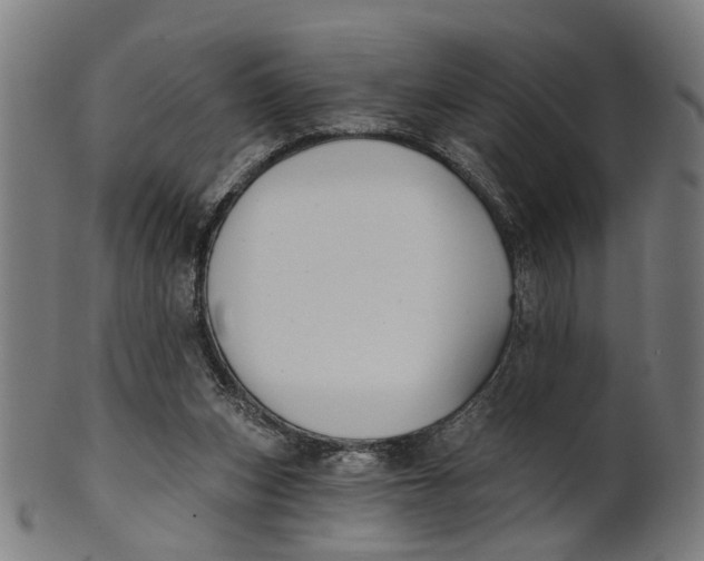 X0000100870159200807111326