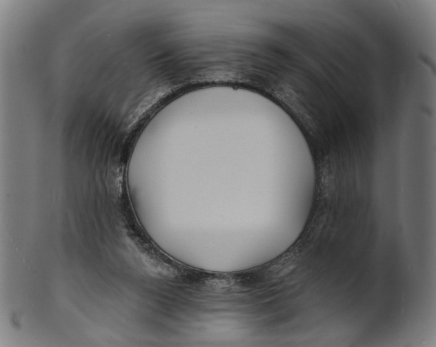 X0000100870160200807111326