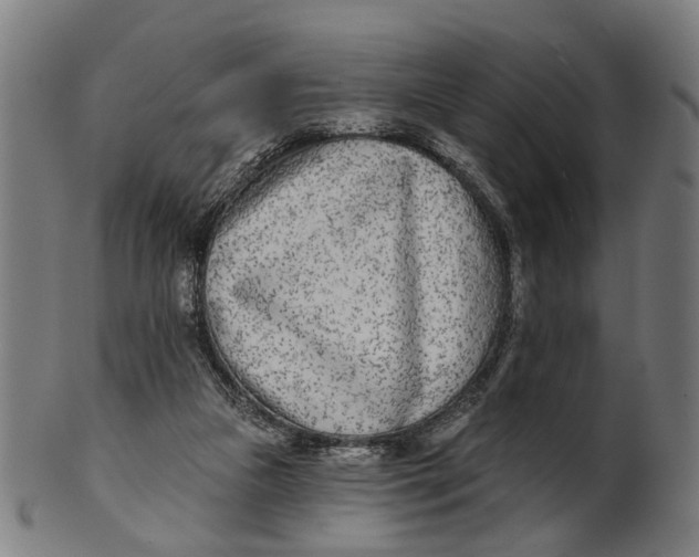 X0000100870161200807111326