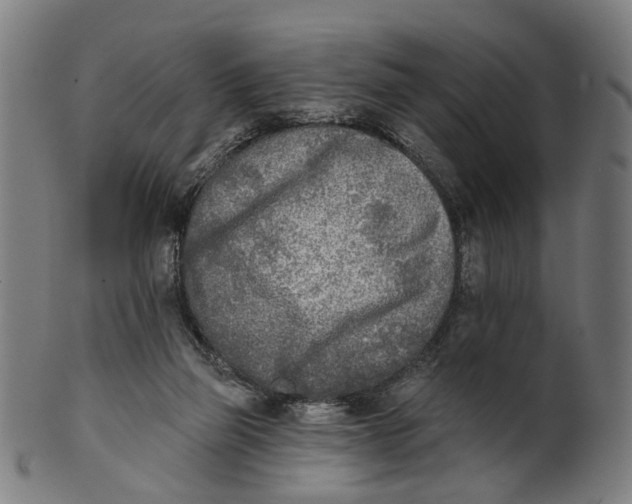 X0000100870165200807111326