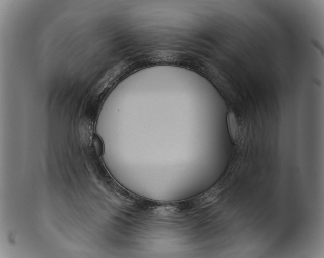 X0000100870168200807111326