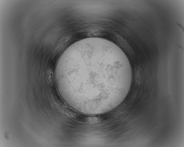 X0000100870169200807111326