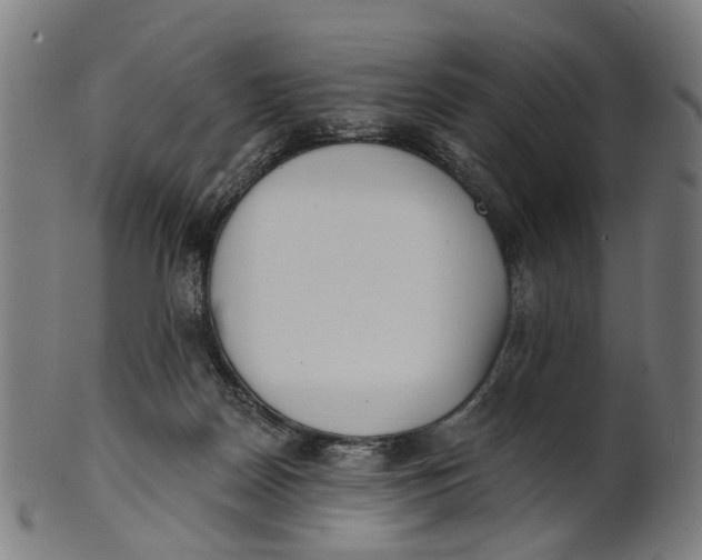 X0000100870170200807111326