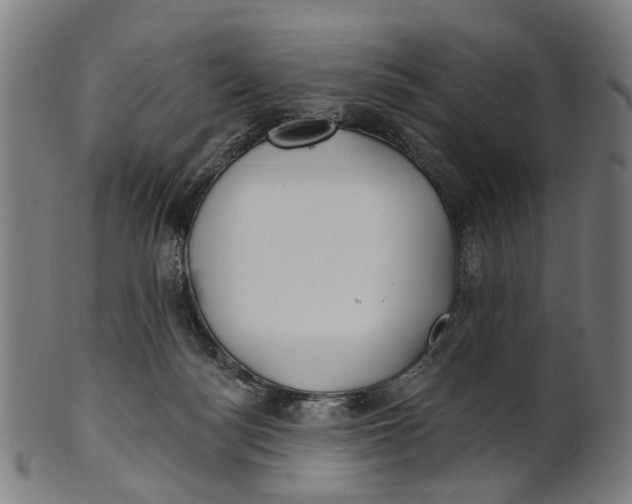 X0000100870172200807111326