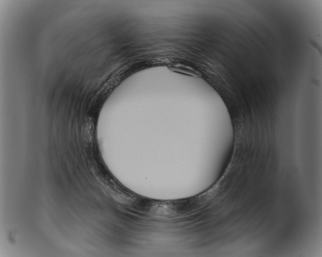 X0000100870174200807111326