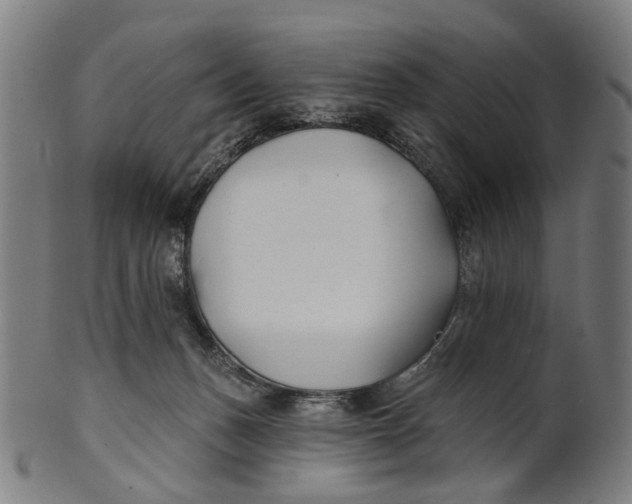 X0000100870175200807111326