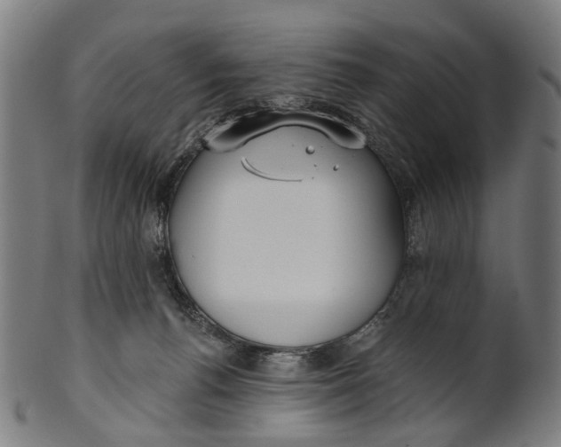 X0000100870176200807111326