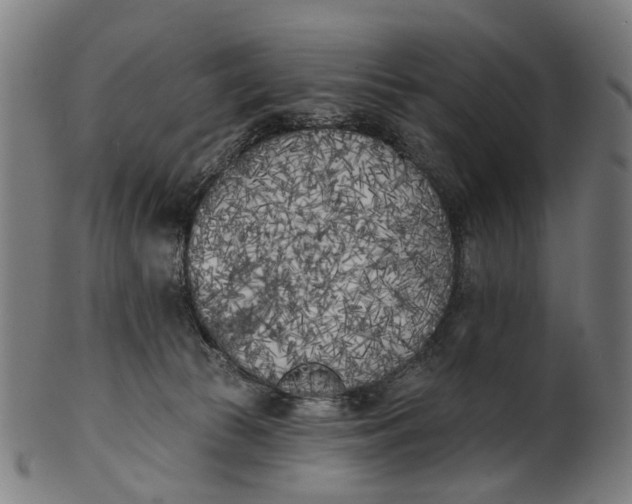 X0000100870177200807111326