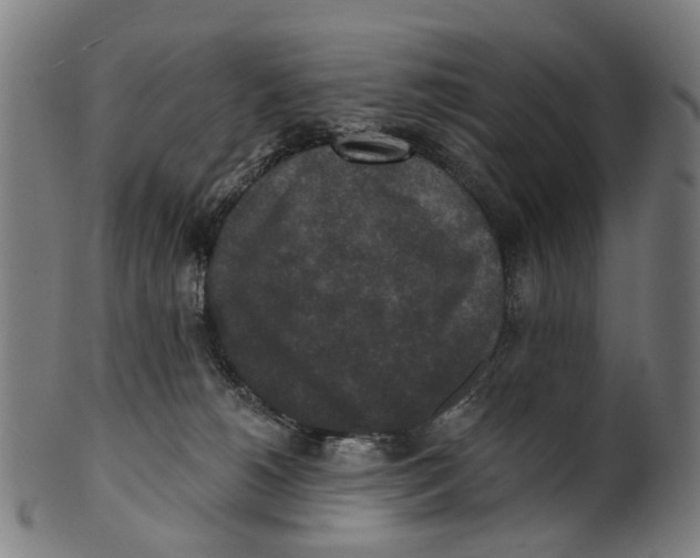 X0000100870180200807111327