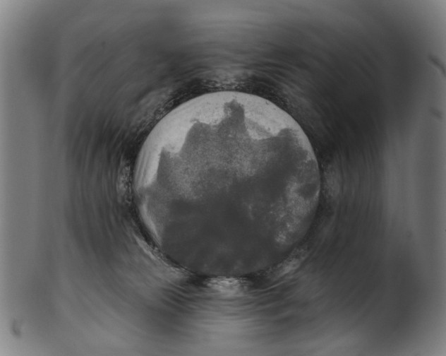 X0000100870181200807111327