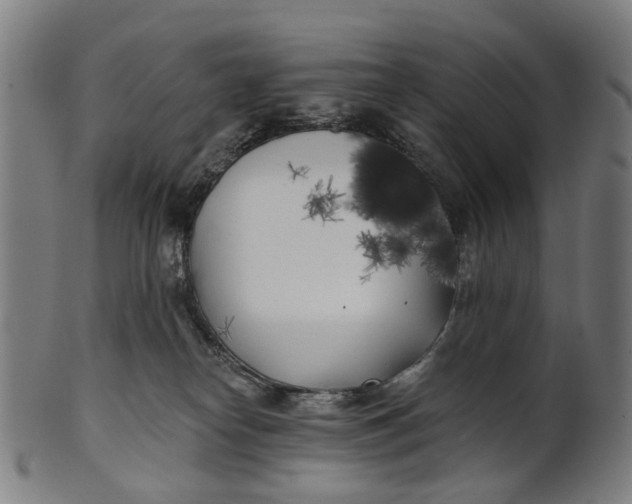 X0000100870182200807111327